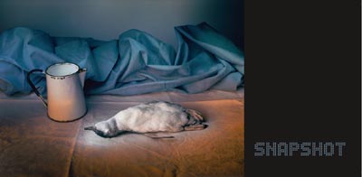 Snapshot: Contemporary Photography from the La Trobe University Art Collection Opening 27 April