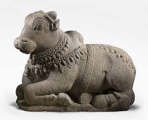 One of the works to be researched. Chola dynasty (9th-13th centuries) India, The sacred bull Nandi, vehicle of Shiva 11th-12th century Tamil Nadu, India sculptures, granite Technique: granite 80.5 h x 110.5 w x 55.0 d cm ; weight 545 kg Purchased with the assistance of Roslyn Packer AO 2009 Accession No: NGA 2009.56