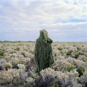 Polixeni Papapetrou Scrub Man (from the series ‘ The Ghillies’) 2013 pigment ink print, edition of 8, 120.0 x 120.0 cm. Courtesy of the artist & Stills Gallery, Sydney.